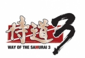 侍道3寻找伴侣方法